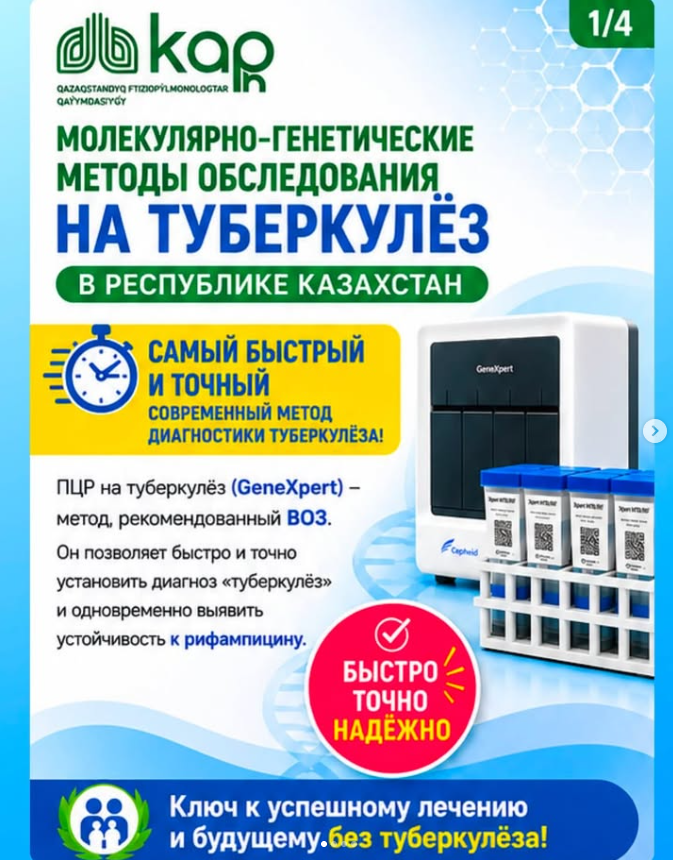 Снимок экрана 2026-10-09 144701.png